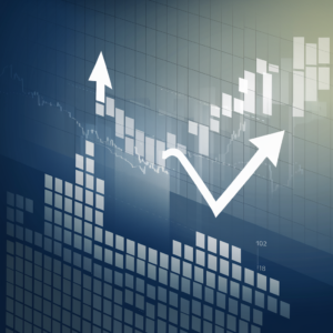 birlasoft share price target